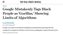 "Google Mistakenly Tags Black People as Gorillas"