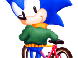 Sonic and bike